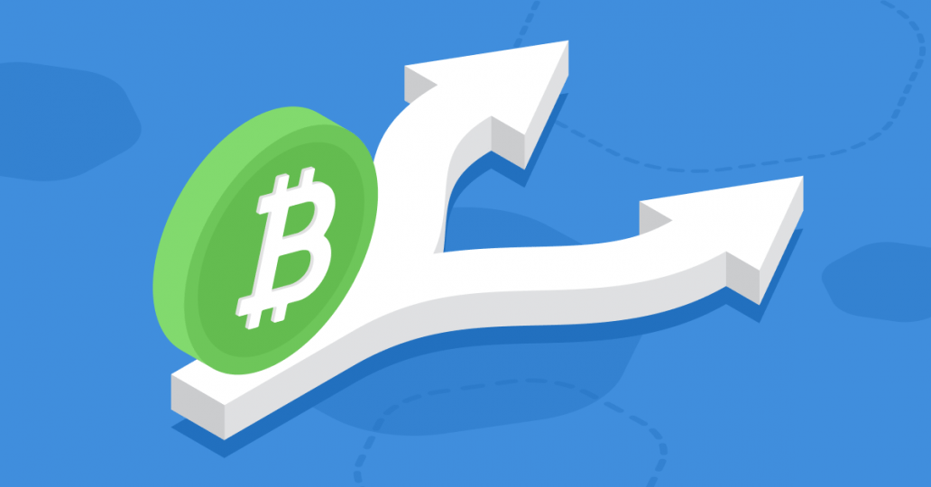 When is the bitcoin cash hard fork best cryptocurrency to invest in long term